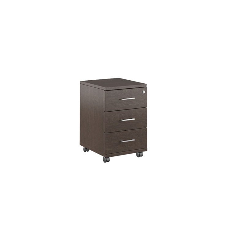 ����� ��������� BSN30130303